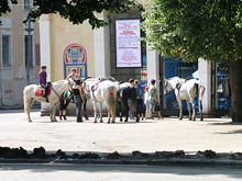Лошадки