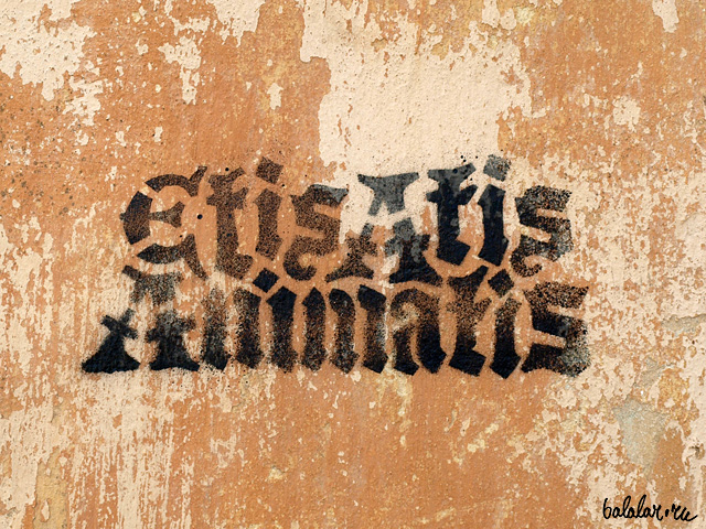 Etis Atis Animatis